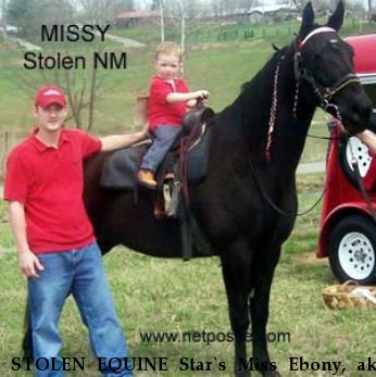 STOLEN EQUINE Star`s Miss Ebony, aka Missy Near Lovington, NM, 88260